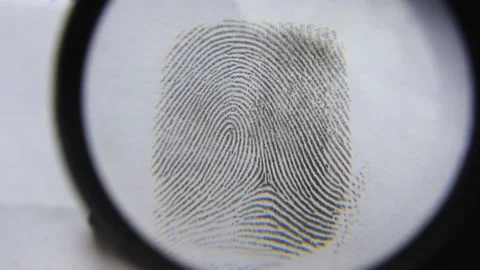 Close-up fingerprint through a forensic magnifying glass. Stock Footage 173020339