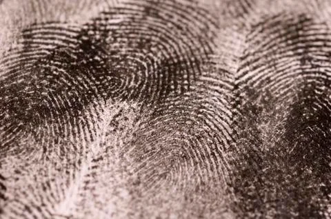 Close up of Fingerprints Stock Photos