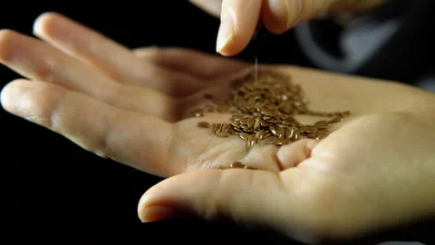 Close-up of fingers move a seed of flax in hand on a black background. Stock Footage 86394180