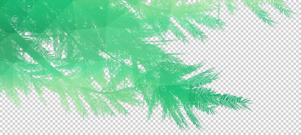 Close up of fir tree Stock Illustration