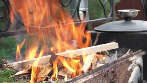 Close-up of a fire in a backyard grill with woods Video stock 312315657