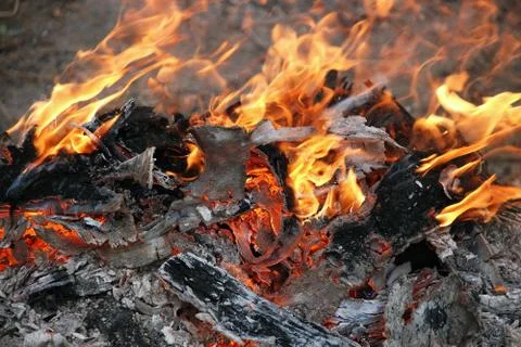 A close up of a fire Bonfire burns. Foto stock