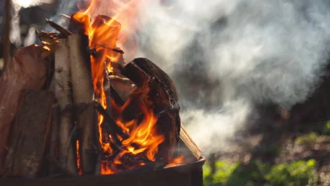 Close-up of fire burning in a grill with wood, smoke rising, forest background Stock Footage 332556581