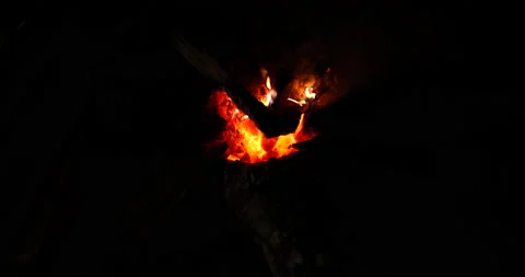 Close up of fire burning. Outdoor night fire burning. Stock Footage 154865856
