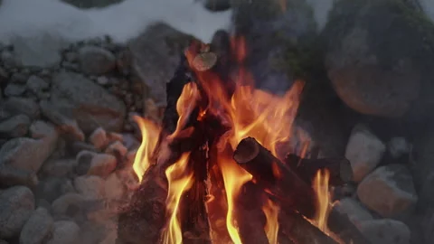 Close-Up of Fire Burning in Snowy Winter Forest – Vertical Video Stock Footage 311914311