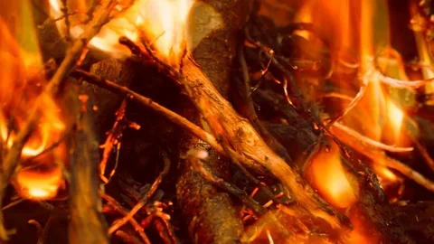 Close Up Fire Burns Everything Stock Footage 78033936