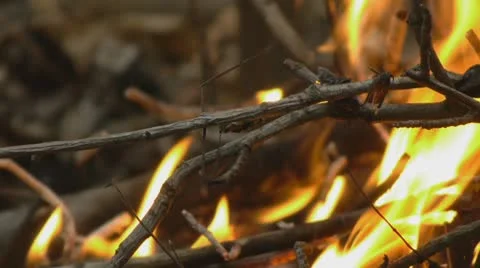 Close up of Fire - Camp, Cook, Forest, wild 库存影片 8959657