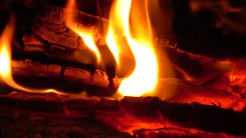 Close-up fire in fireplace burns firewood Video stock 263191855