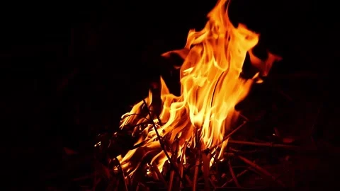Close-up of Fire Flames Burning Wood in Dark Background Stock Footage 303610988
