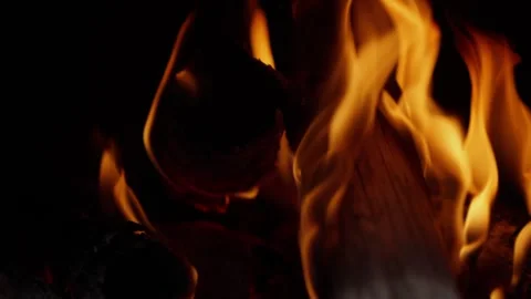 Close-Up of Fire Flames Burning Wood Logs Vidéo 310765553