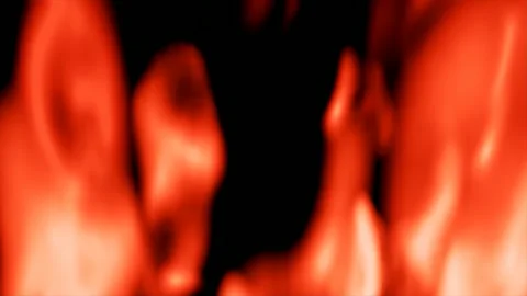 Close Up Fire Flames Texture Motion Background 스톡 동영상 346442608