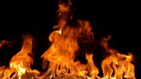 Close up of the fire Vidéo 86464420