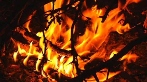 Close up of the fire Vídeos de archivo 88022395