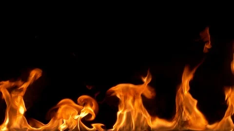 Close up of the fire Видео 88800772