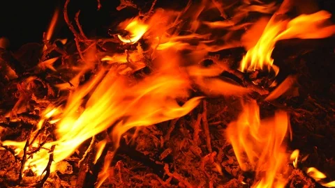 Close up of the fire Stock Footage 88975547