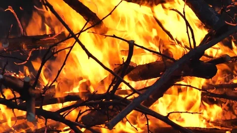 Close up of the fire Stock Footage 91875621
