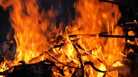 Close up of the fire Видео 91875624