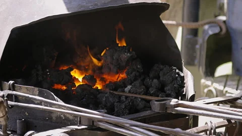 Close up of a fire in the forge Stock-Footage 256212409