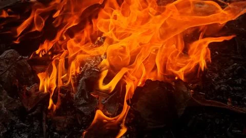 Close up of a fire in the garden, fire background Stock Photos