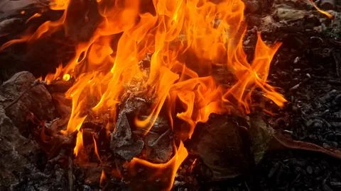 Close up of a fire in the garden, fire background Stock Photos
