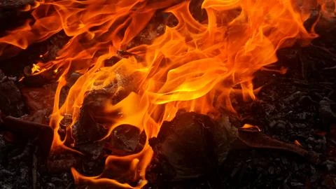 Close up of a fire in the garden, fire background Stock Photos
