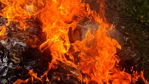 Close up of a fire in the garden, fire background Stock Photos