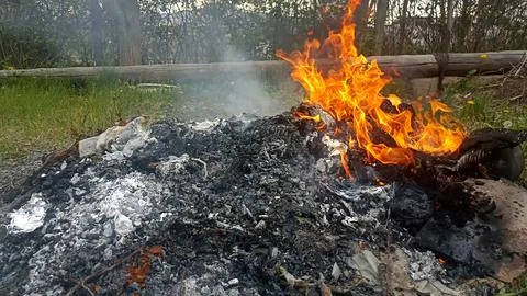 Close up of a fire in the garden, fire background Stock Photos