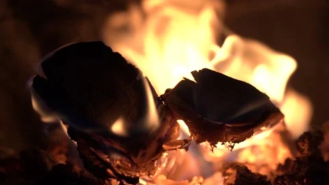 Close up of fire glowing wood Close up view of tongues of fire over burning wood Stock Footage 239818096