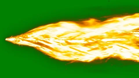 Close up fire green background is burning shape bird green screen animated Stock Footage 314064170