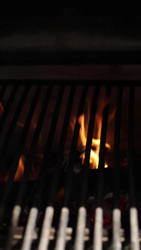 Close-up of fire ignition with flames and smoke rising from burning wood. Vidéo 332373804