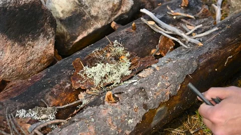 Close-up fire ignition from flint, survival, bushcraft Stock Footage 155600578