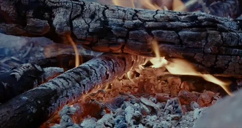 Close-up Fire Winter Forest Stock Footage 250785655