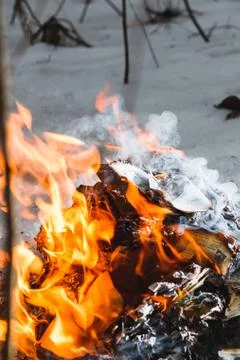 Close-up of a fire in the winter forest of old books, papers, magazines and Fotos Stock