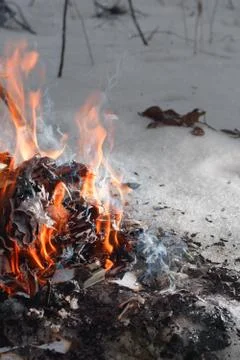 Close-up of a fire in the winter forest of old books, papers, magazines and Stock Photos