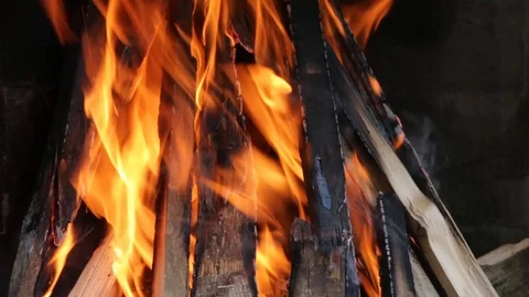Close up of fire wood Stock Footage 88818798