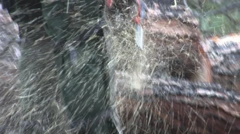Close-up of Firefighter with chain saw cutting log Stock Footage 40751830