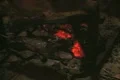 Close up of fireplace and fish on spit Footage