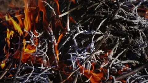 Close up of fireplace in a slow motion Video stock 191554472