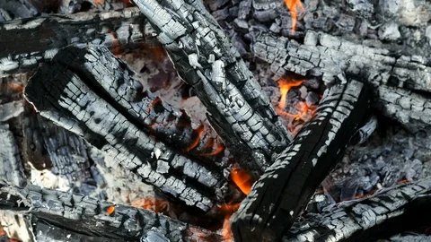 Close-up of firewood burning in the fire, coal and ash Stock Footage 109199683