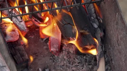 Close-up firewood is burning in the grill Stock Footage 161679718