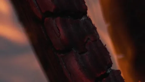Close Up, Firewood Ignition with Glowing Embers and Flickering Motion Stock Footage 342294087