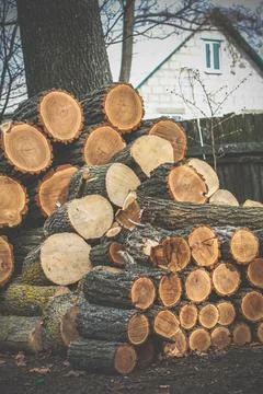 Close up firewood stack concept photo Фото