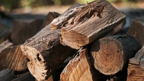 Close Up of Firewood Stack Stock Footage 284770368