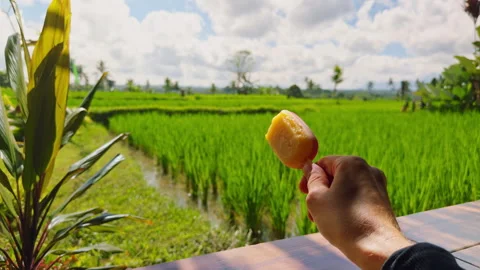 Close Up First Person View of Fruit Ice Cream Against Bright Green Rice Fields, Stock Footage 337032223