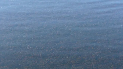 Close up of first thin autumn ice drifting on river water surface Stock Footage 120644201