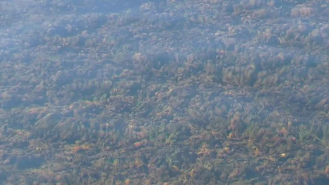 Close up of first thin autumn ice drifting on river water surface Stock Footage 120644207