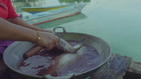 Close Up Fish Cleaning Hands Traditional Seafood Preparation Stock Footage 332460662