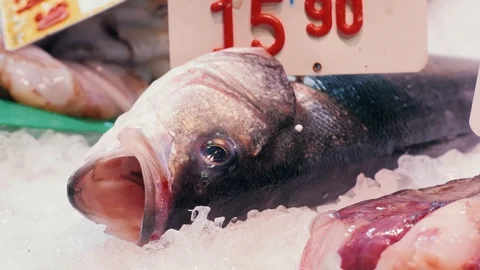Close up of fish on display in a fish market Stock Footage 122582644