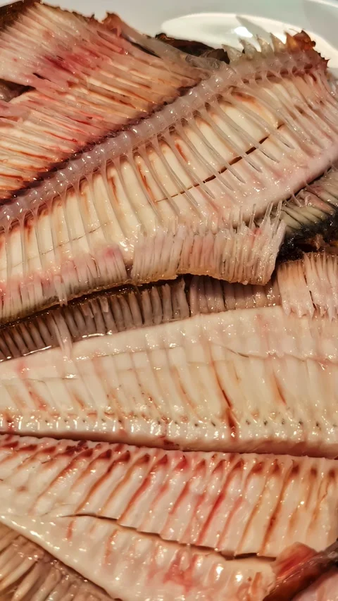 Close-Up of Fish Fillets Displaying Intricate Bone Structure Stock Footage 336366122
