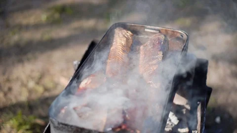 Close-up of fish in an iron Cup that smokes on the fire. Cooking. BBQ Stock Footage 108956171